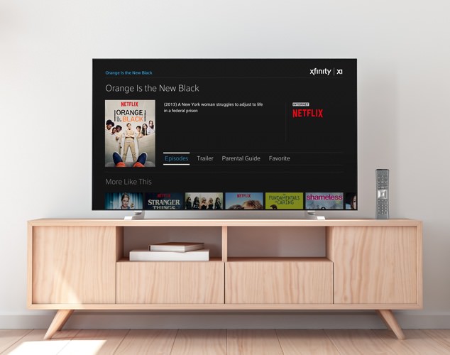 Netflix displayed on TV